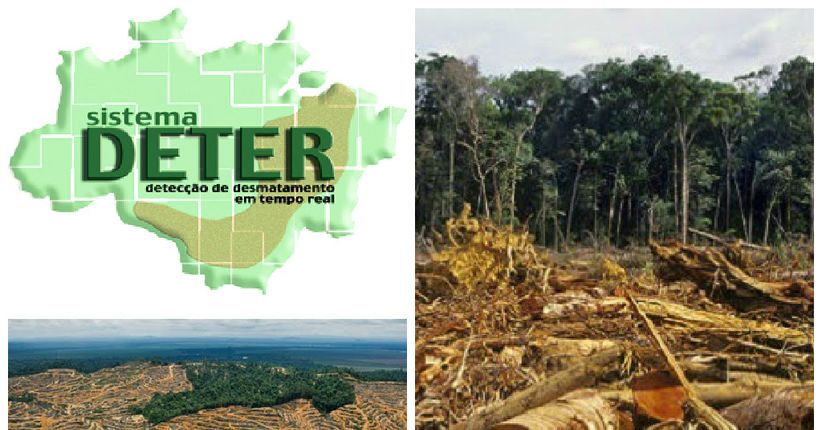 Desmatamento e Desenvolvimento na Amazônia