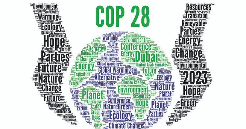 COP 28: Como as marcas podem se preparar para 2025?