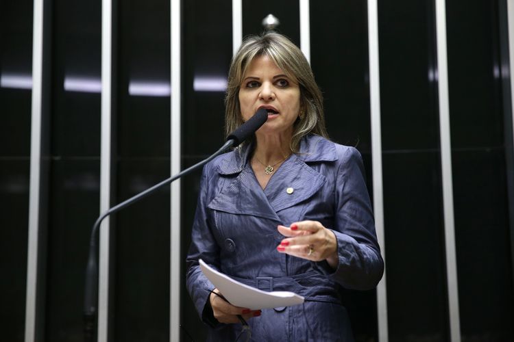 Plenário aprova projeto sobre combate à violência contra mulheres -  deputada Flávia Morais (PDT-GO)