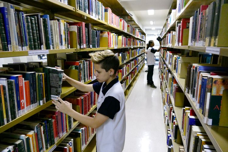 Educação - livros - biblioteca