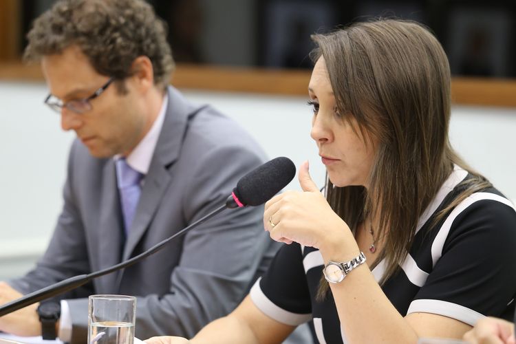 Reunião ordinária para discussão e votação do parecer da relatora, dep. Renata Abreu (PTN-SP)